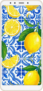 Силиконовый чехол Grocery Girl Italian Summer для Xiaomi Redmi 5 - 6766u-1350 изображение 