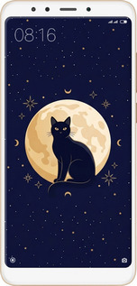 Силиконовый чехол Cute Cat Celestial/Witchy для Xiaomi Redmi 5 - 6787u-1350 изображение 