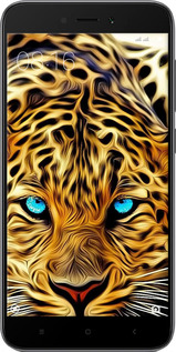 2D пластиковий чехол Леопард для Xiaomi Redmi 5A - 6611t-1133 изображение 