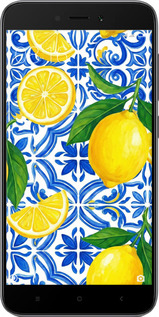 2D пластиковий чехол Grocery Girl Italian Summer для Xiaomi Redmi 5A - 6766t-1133 изображение 