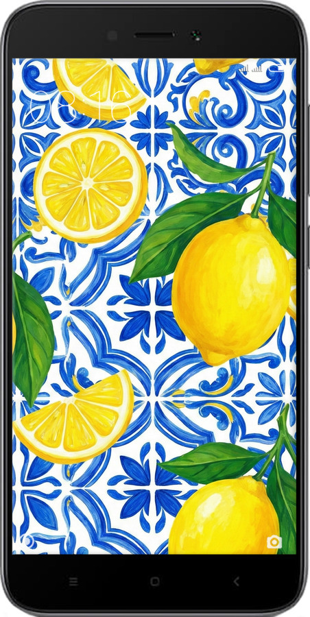 2D пластиковий чехол Grocery Girl Italian Summer для Xiaomi Redmi 5A - 6766t-1133 изображение 