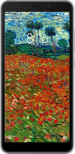 2D пластиковий чехол Вінсент Ван Гог-Макове поле для Xiaomi Redmi 6 - 6466t-1521 изображение 