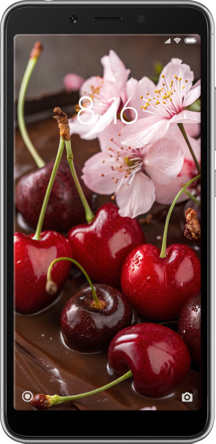 2D пластиковый чехол Вишня в шоколаде для Xiaomi Redmi 6 - 6698t-1521 изображение 