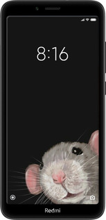 2D пластиковый чехол The Peeking Rat для Xiaomi Redmi 7A - 6442t-1716 изображение 