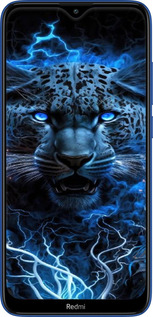 TPU чехол Крижаний леопард для Xiaomi Redmi 8 - 6460b-1806 изображение 