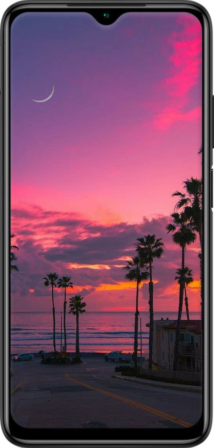 2D пластиковый чехол Пальмы для Xiaomi Redmi 9T - 5873t-2257 изображение 