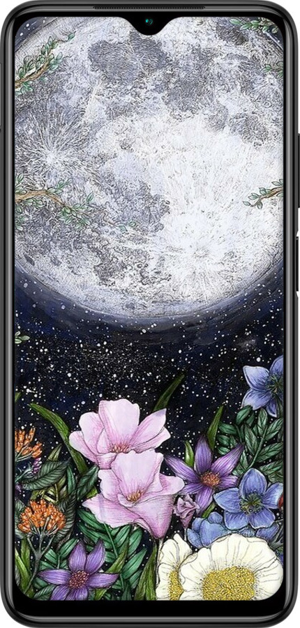 2D пластиковый чехол Полночь в саду II для Xiaomi Redmi 9T - 6424t-2257 изображение 