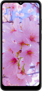 Силиконовый чехол Сакура для Xiaomi Redmi A2 - 6029u-3026 изображение 