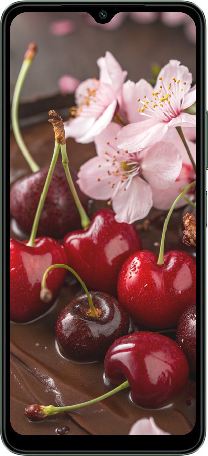 TPU чехол Вишня в шоколаде для Xiaomi Redmi A3 - 6698b-3657 изображение 