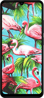 Силиконовый чехол Tropical background для Xiaomi Redmi A5 4G - 4016u-3926 изображение 