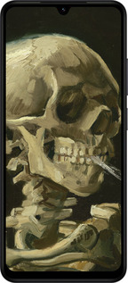 Силиконовый чехол Винсент Ван Гог. Череп для Xiaomi Redmi A5 4G - 5544u-3926 изображение 