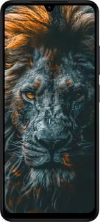 Силиконовый чехол Лев в сумерках для Xiaomi Redmi A5 4G - 6154u-3926 изображение 