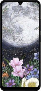 Силиконовый чехол Полночь в саду II для Xiaomi Redmi A5 4G - 6424u-3926 изображение 