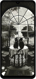 Силиконовый чехол Череп и коты для Xiaomi Redmi A5 4G - 6432u-3926 изображение 