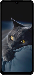 Силіконовий чехол Димчастий кіт для Xiaomi Redmi A5 4G - 825u-3926 изображение 