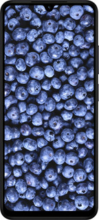 Силиконовый чехол Черника для Xiaomi Redmi A5 4G - 851u-3926 изображение 