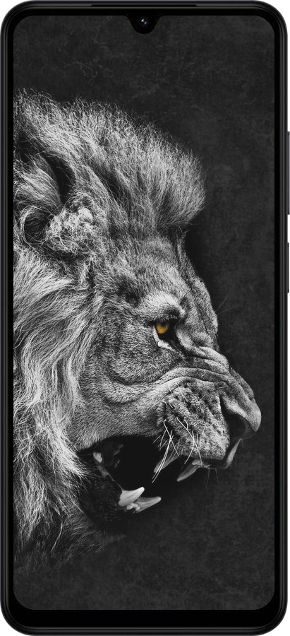 Силиконовый чехол Лев для Xiaomi Redmi A5 4G - 1080u-3926 изображение 