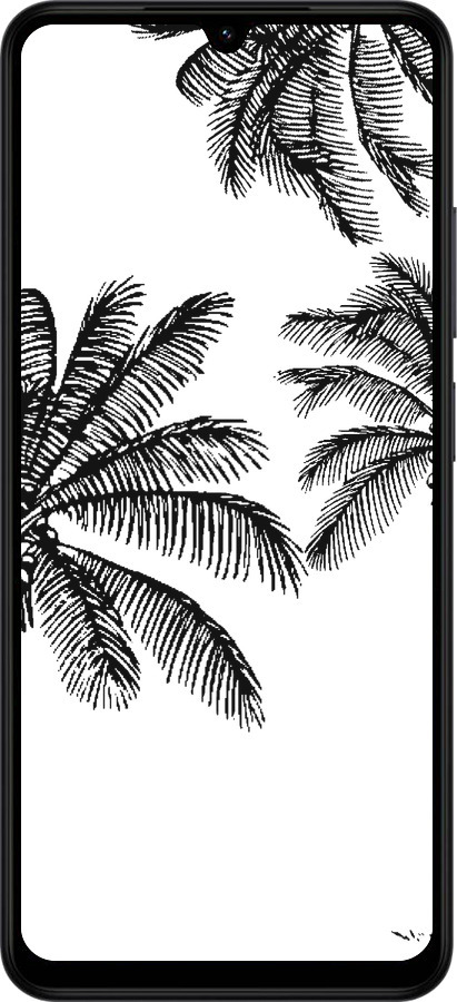 Силиконовый чехол Пальмы1 для Xiaomi Redmi A5 4G - 4634u-3926 изображение 