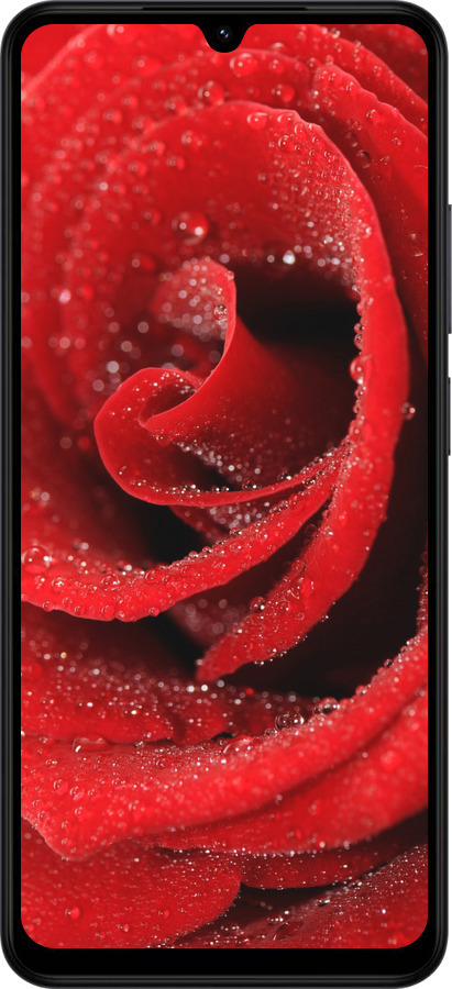 Силиконовый чехол Красная роза для Xiaomi Redmi A5 4G - 529u-3926 изображение 