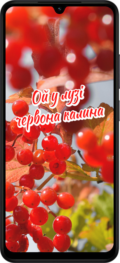 Силиконовый чехол Калина для Xiaomi Redmi A5 4G - 5454u-3926 изображение 
