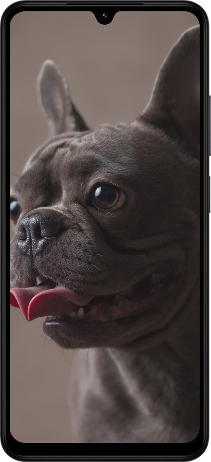 Силиконовый чехол Милый бульдог для Xiaomi POCO C71 4G - 5546u-4146 изображение 