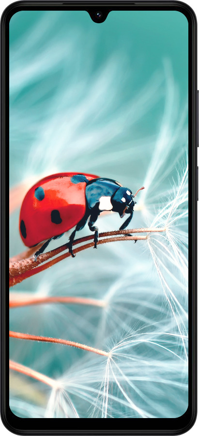 Силиконовый чехол Божья коровка для Xiaomi Redmi A5 4G - 6049u-3926 изображение 