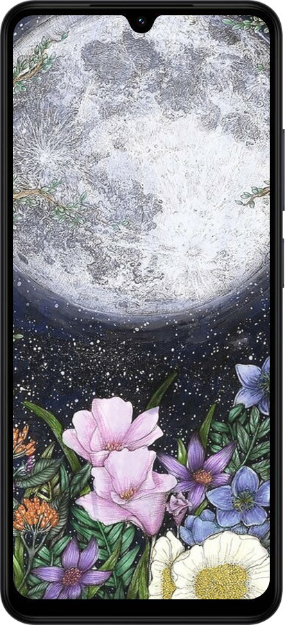 Силиконовый чехол Полночь в саду II для Xiaomi Redmi A5 4G - 6424u-3926 изображение 