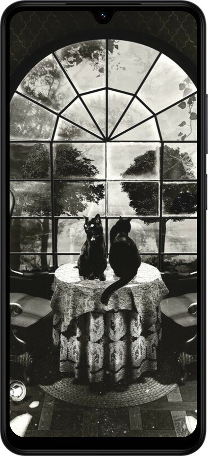 Силиконовый чехол Череп и коты для Xiaomi Redmi A5 4G - 6432u-3926 изображение 