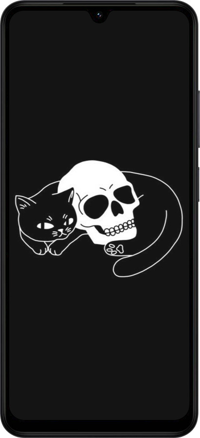 Силиконовый чехол С изображением кота и черепа для Xiaomi Redmi A5 4G - 6491u-3926 изображение 