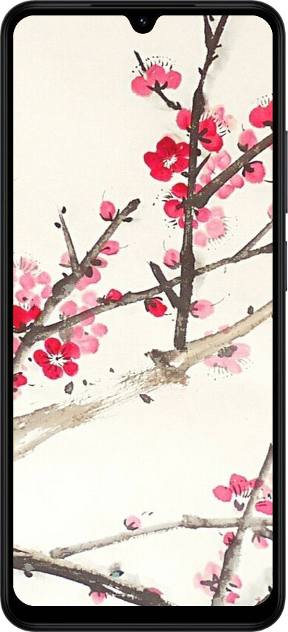 Силиконовый чехол Принт с изображением цветения сакуры для Xiaomi Redmi A5 4G - 6545u-3926 изображение 