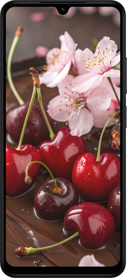 Силиконовый чехол Вишня в шоколаде для Xiaomi Redmi A5 4G - 6698u-3926 изображение 