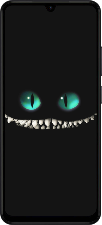 Силиконовый чехол Чеширский кот для Xiaomi Redmi A5 4G - 689u-3926 изображение 