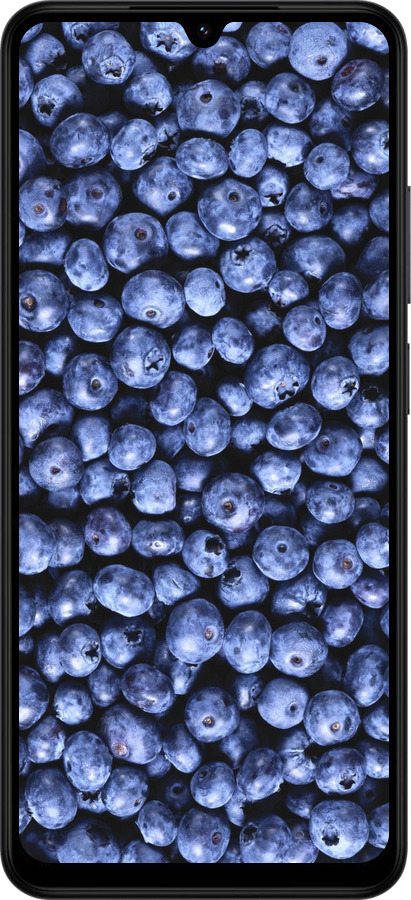 Силиконовый чехол Черника для Xiaomi Redmi A5 4G - 851u-3926 изображение 