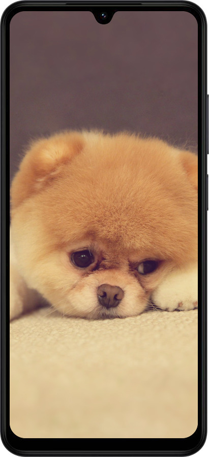 Силиконовый чехол Boo 2 для Xiaomi Redmi A5 4G - 890u-3926 изображение 