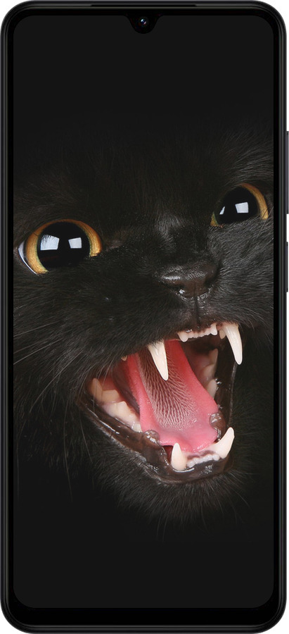 Силиконовый чехол Чёрная кошка для Xiaomi Redmi A5 4G - 932u-3926 изображение 