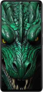 TPU чехол Зелёный дракон v2 для Xiaomi Redmi K40S - 5817b-2582 изображение 