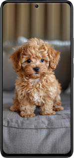 TPU чехол Mini-maltipoo для Xiaomi Redmi K40S - 6158b-2582 изображение 