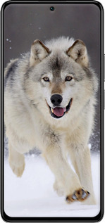 TPU чехол Бегущий волк для Xiaomi Redmi K40S - 826b-2582 изображение 
