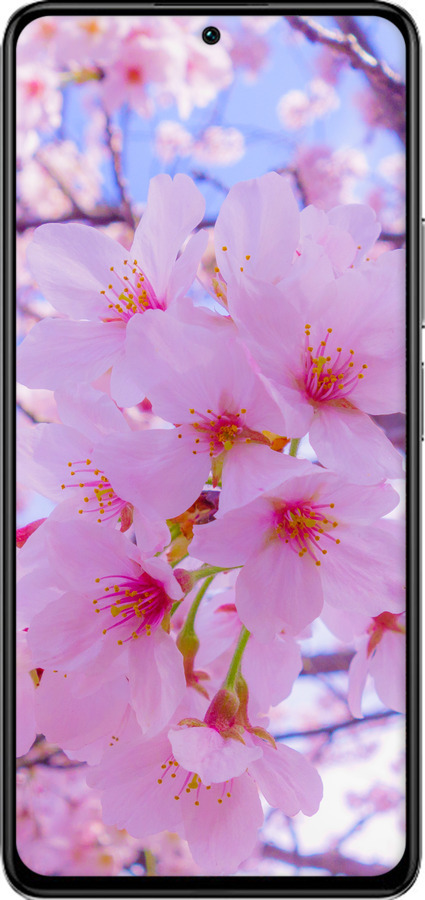 TPU чехол Сакура для Xiaomi Redmi K40S - 6029b-2582 изображение 