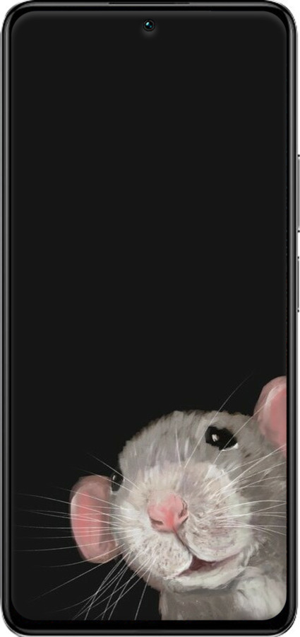 TPU чехол The Peeking Rat для Xiaomi Redmi K40S - 6442b-2582 изображение 