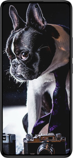 Силиконовый чехол Бульдог-фотограф для Xiaomi Redmi K60 Pro - 142u-3457 изображение 