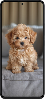 Силиконовый чехол Mini-maltipoo для Xiaomi Redmi K60 Pro - 6158u-3457 изображение 