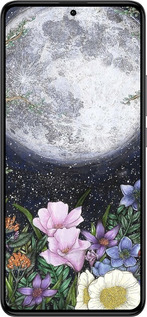 Силиконовый чехол Полночь в саду II для Xiaomi Redmi K60 Pro - 6424u-3457 изображение 