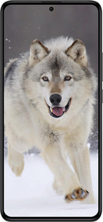 Силиконовый чехол Бегущий волк для Xiaomi Redmi K60 Pro - 826u-3457 изображение 