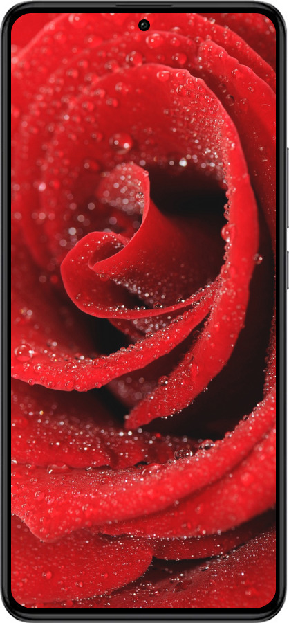 Силиконовый чехол Красная роза для Xiaomi Redmi K60 Pro - 529u-3457 изображение 
