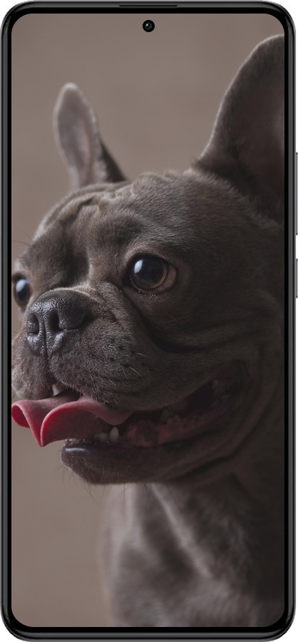 Силиконовый чехол Милый бульдог для Xiaomi Redmi K60 Pro - 5546u-3457 изображение 