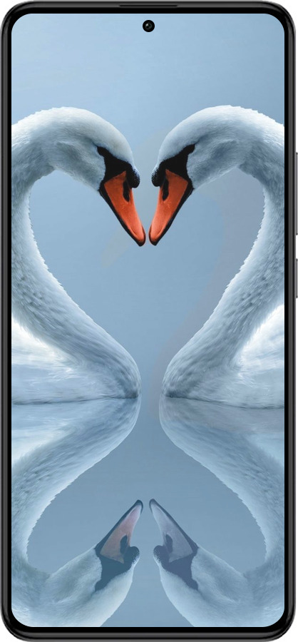 Силиконовый чехол Лебеди для Xiaomi Redmi K60 Pro - 6007u-3457 изображение 
