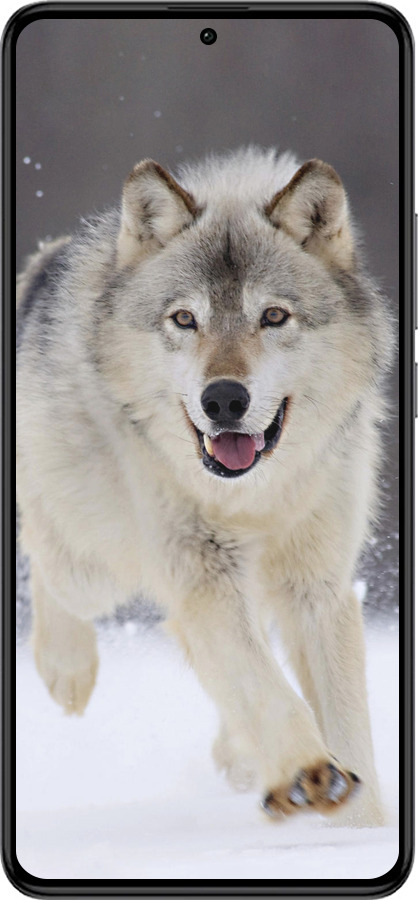 Силиконовый чехол Бегущий волк для Xiaomi Redmi K60 Pro - 826u-3457 изображение 