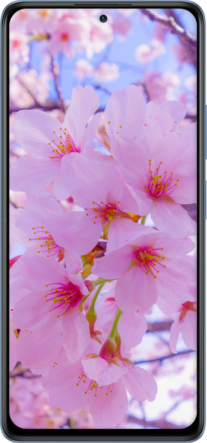 Силіконовий чехол Сакура для Xiaomi Redmi Note 10 Pro - 6029u-2297 изображение 