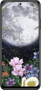 Силиконовый чехол Полночь в саду II для Xiaomi Redmi Note 10 - 6424u-2277 изображение 